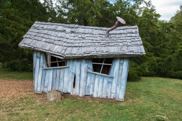 Shed Demolition in Albany